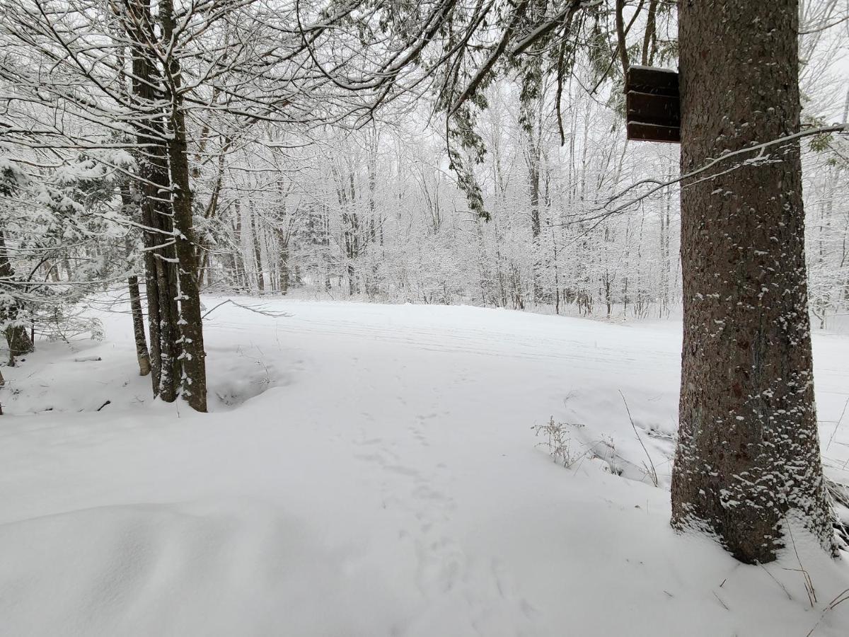 Ski In/Out Spruce Glen Townhomes On Great Eastern Trail Killington Bagian luar foto