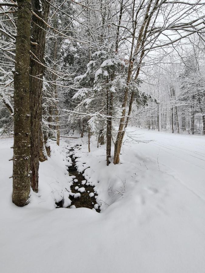 Ski In/Out Spruce Glen Townhomes On Great Eastern Trail Killington Bagian luar foto